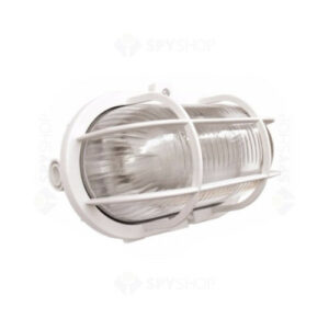 Lampa exterior Daniella deLux DEL366, E27, 60 W