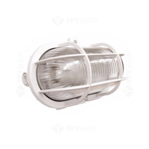 Lampa exterior Daniella deLux DEL366, E27, 60 W