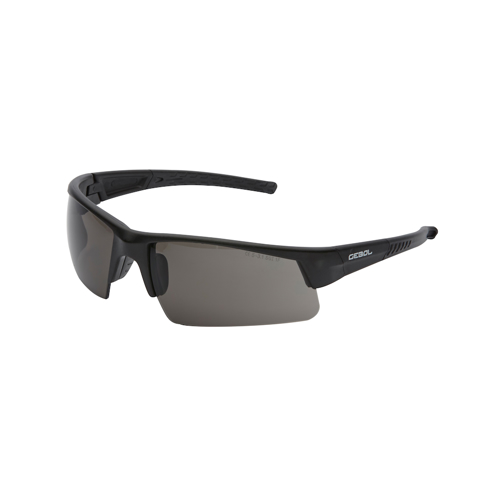 Gebol 730405, Ochelari de protectie Sports Line din policarbonat, lentile fumurii, clasa optica I, protectie UV-A si UV-B, marime universala